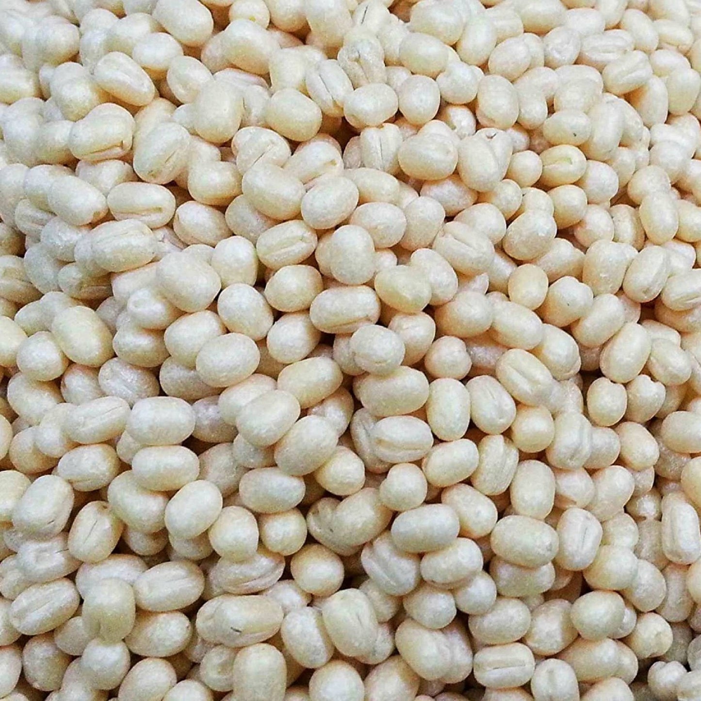 乌拉德 Dal (Kg)