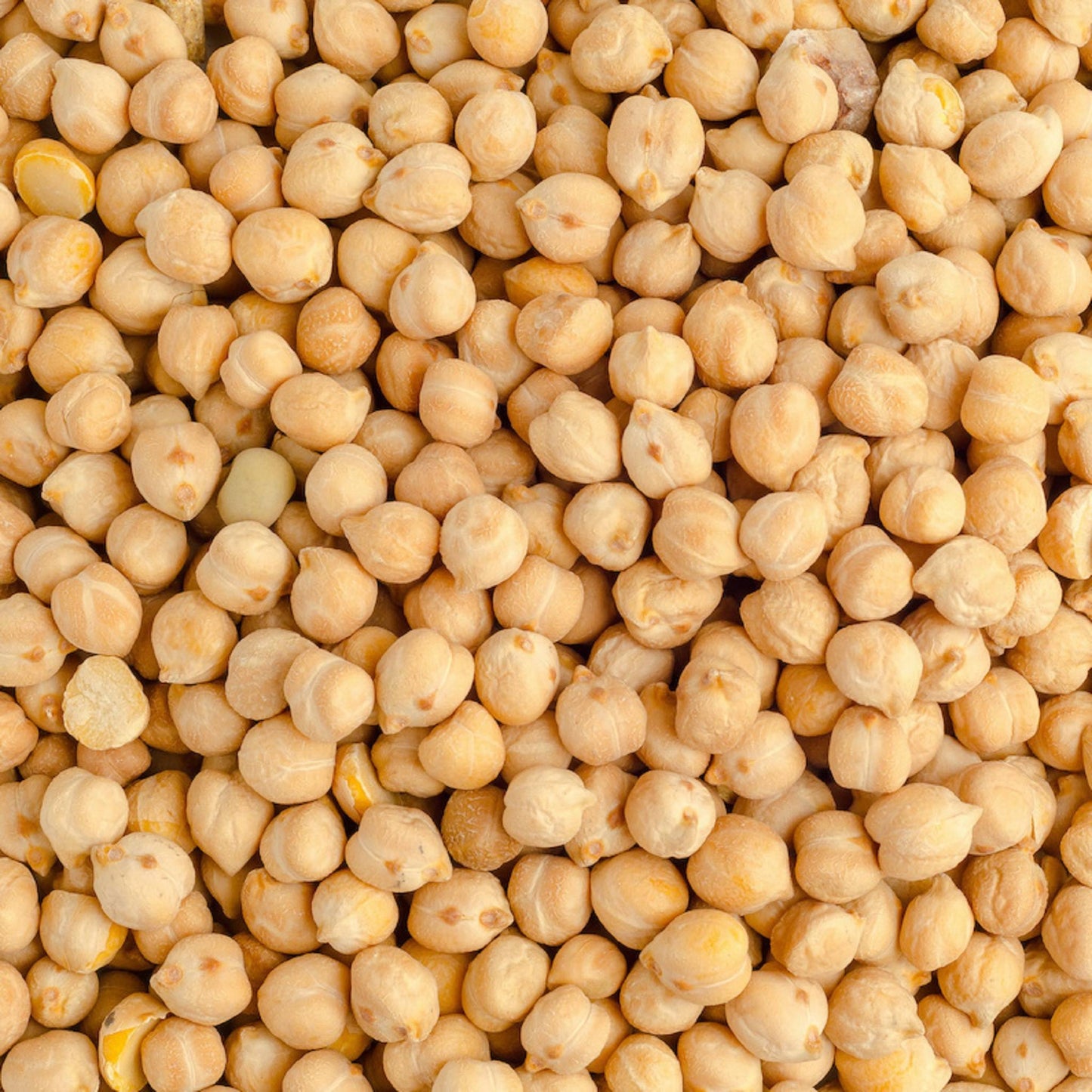 鹰嘴豆 (Kg)