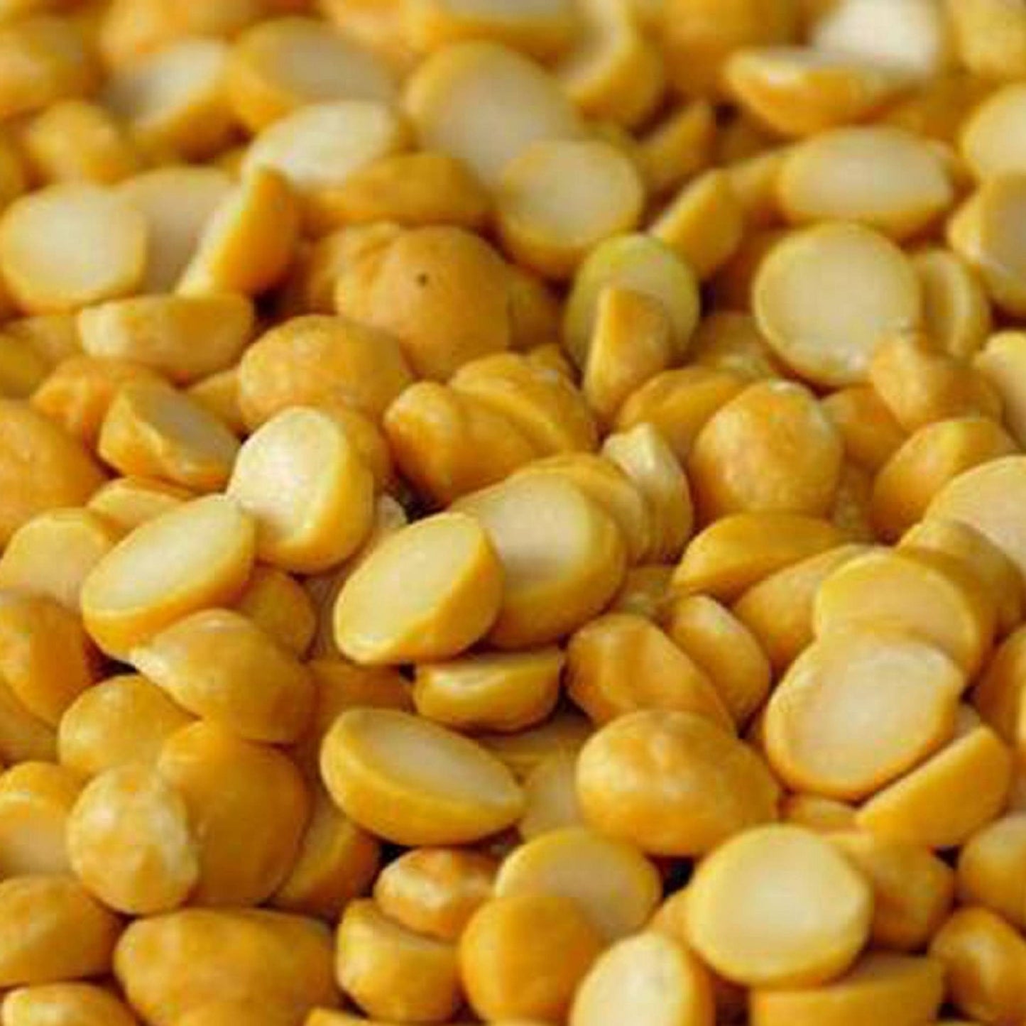 查纳 Dal (Kg)