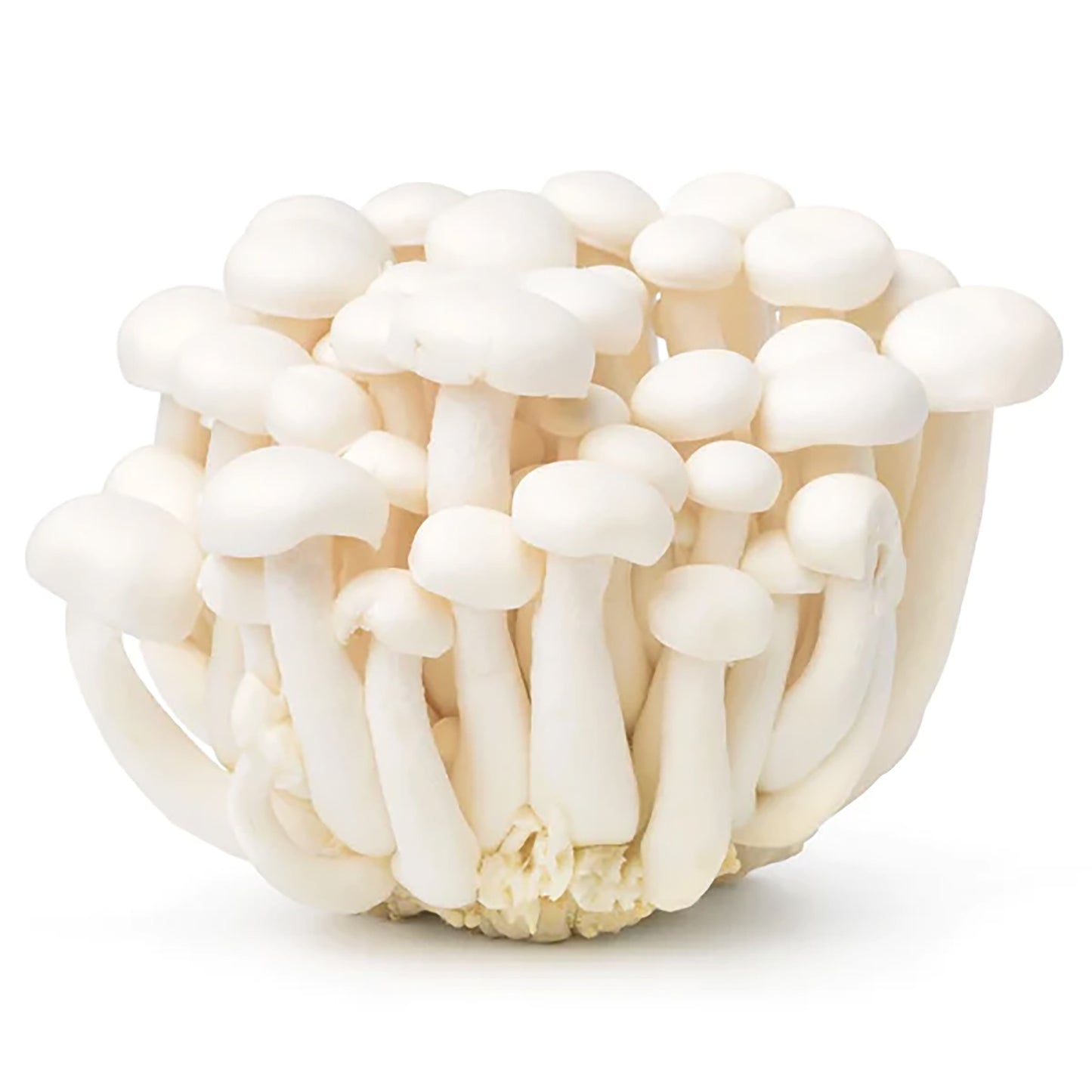 White Shimeji Mushroom (150g*40)