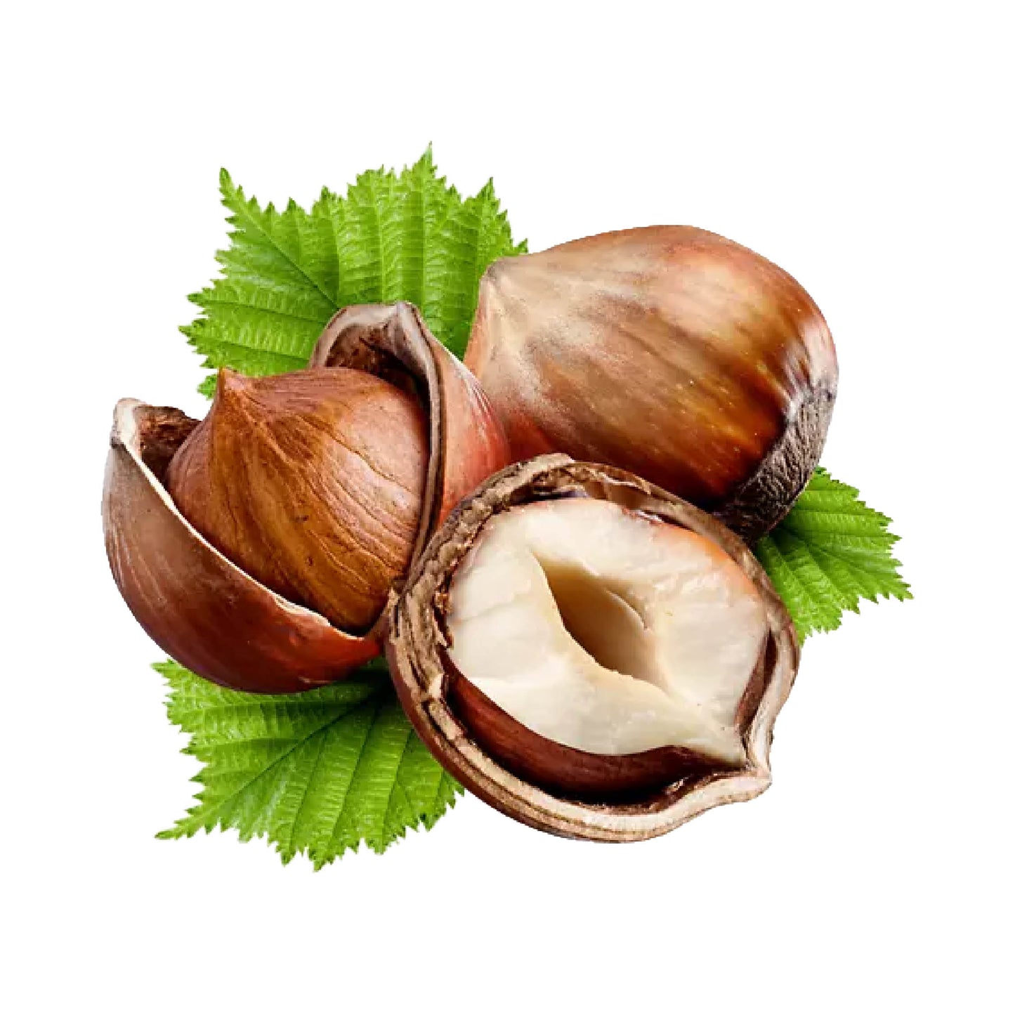 ROASTED HAZEL NUT (10kg)