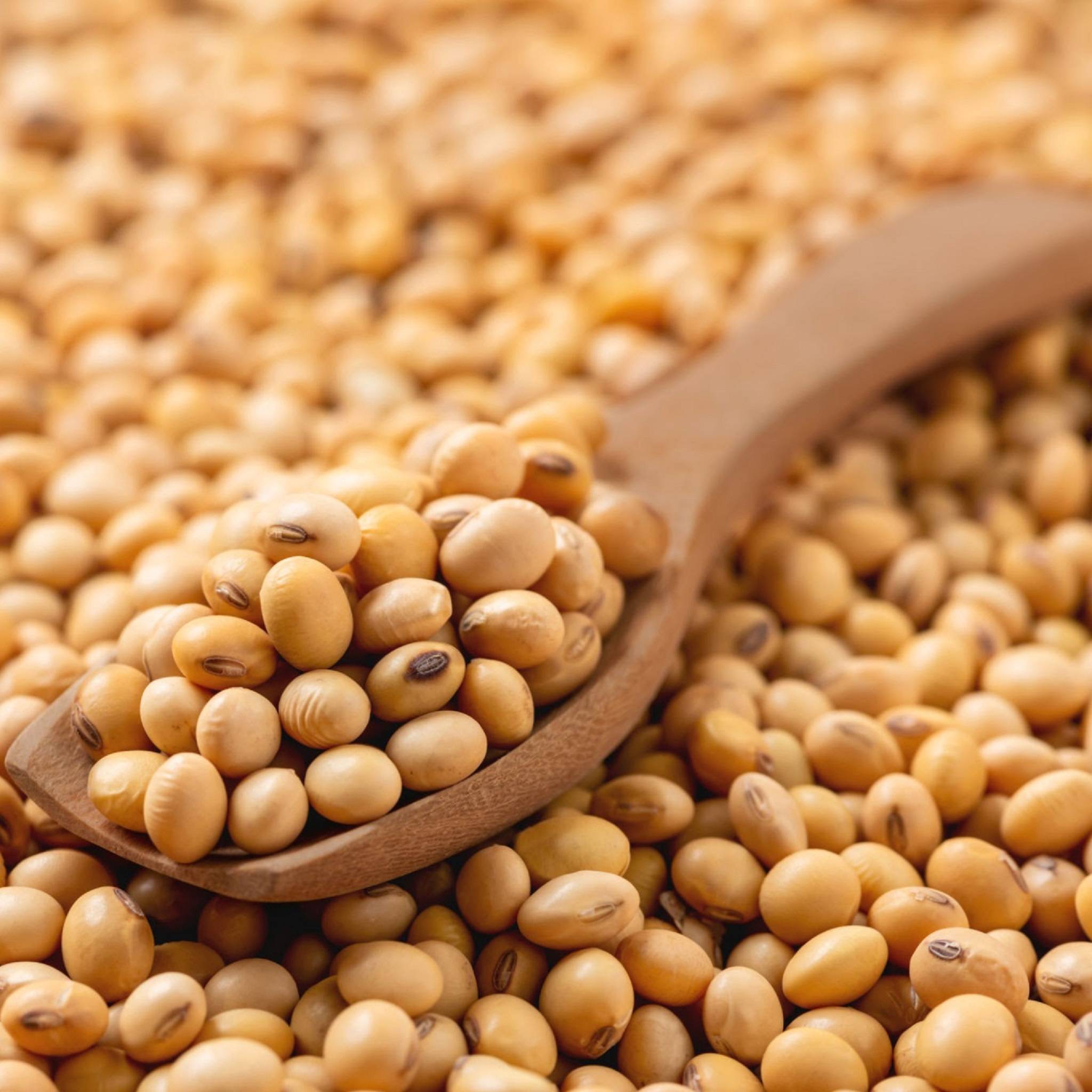 30 Asia Food Trading Est 30-asia-food-trading-est