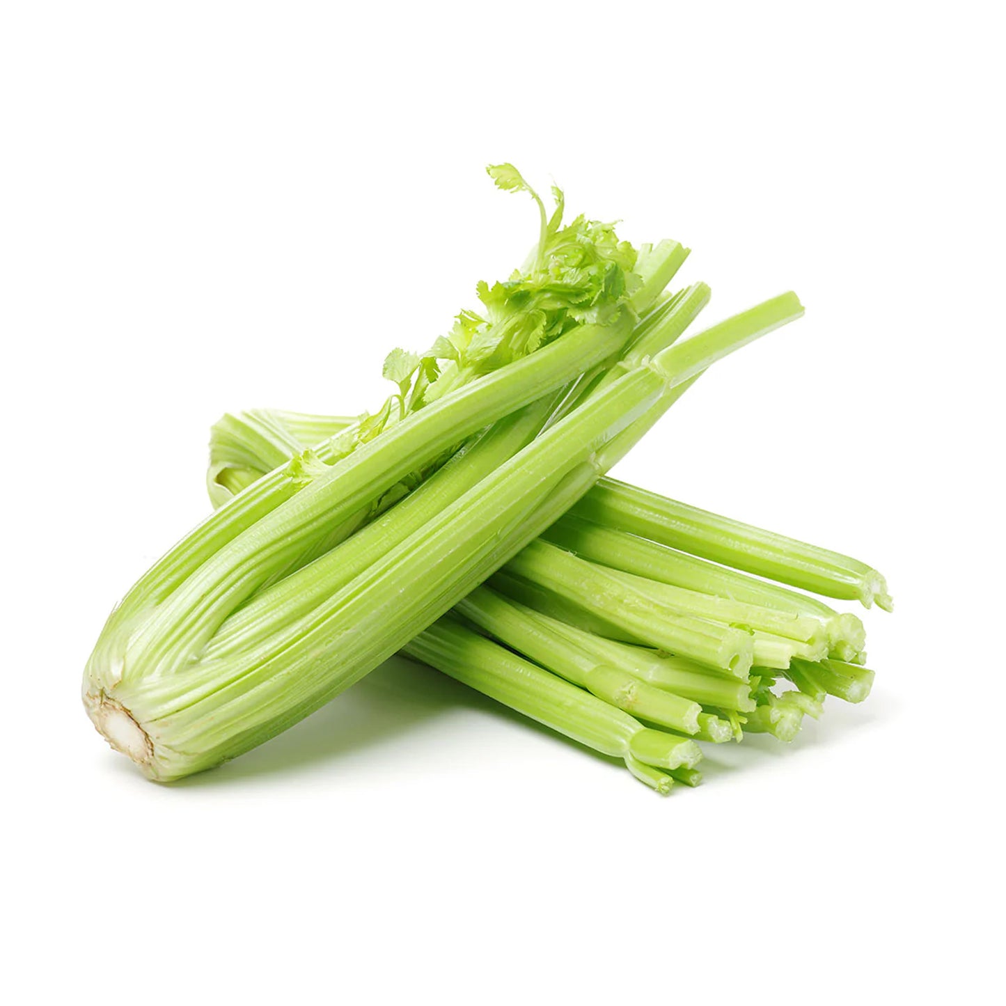 CELERY (kg)